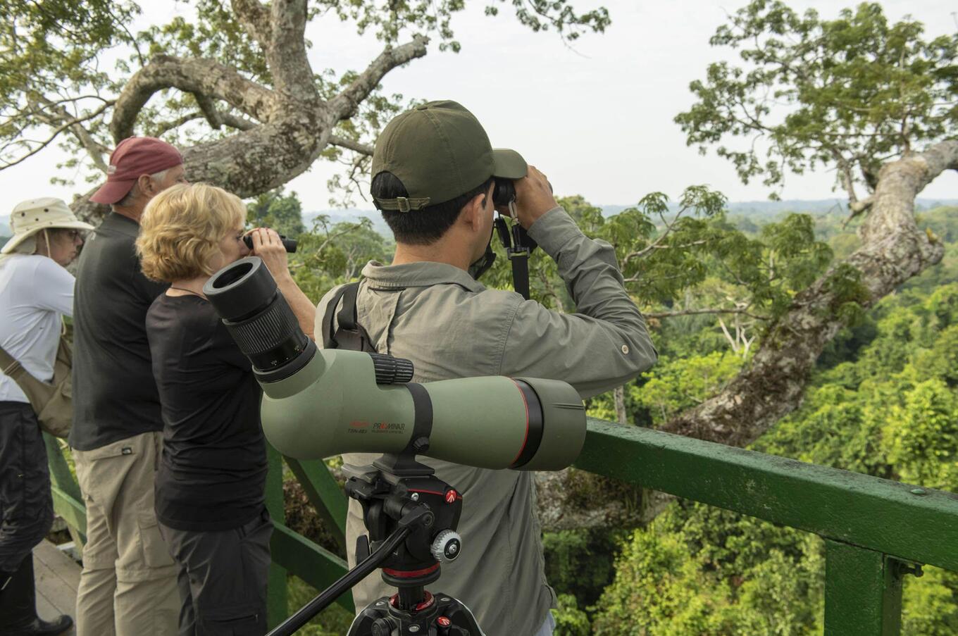 Living nature at Napo Wildlife Center