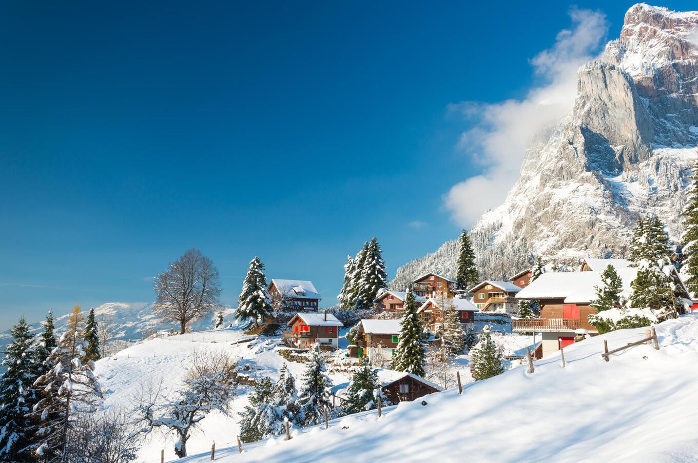 Charming cabins