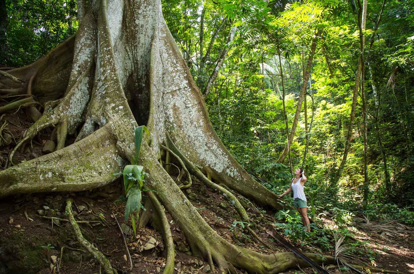 Nature continues to impress in the same way it did when it was discovered 600 years ago. Photo:Scott Ramsay.