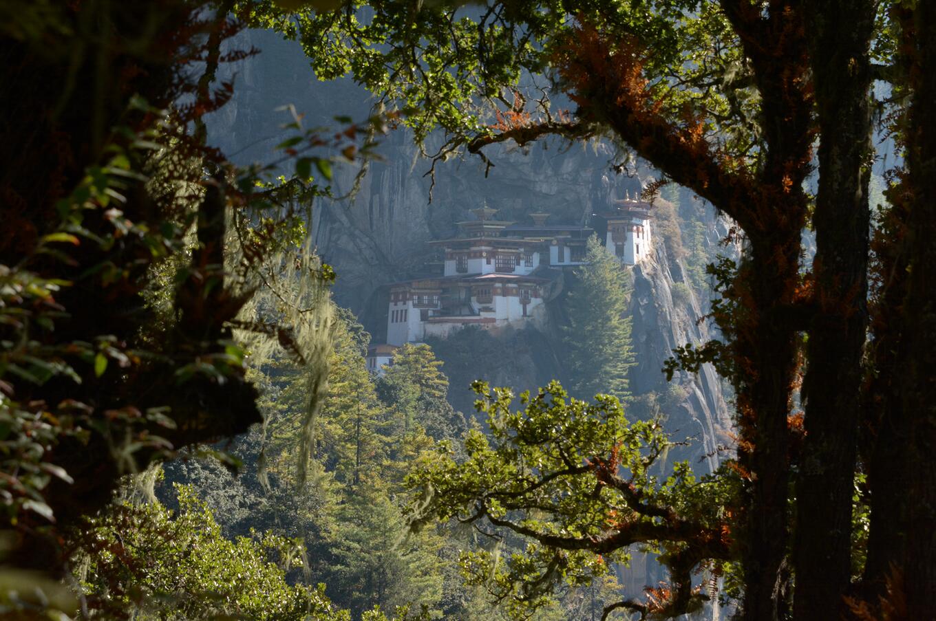 From the viewpoint, the monastery can be seen on the cliff, perfectly integrated into the mountainous landscape and surrounded by serenity. Tiger's Nest.