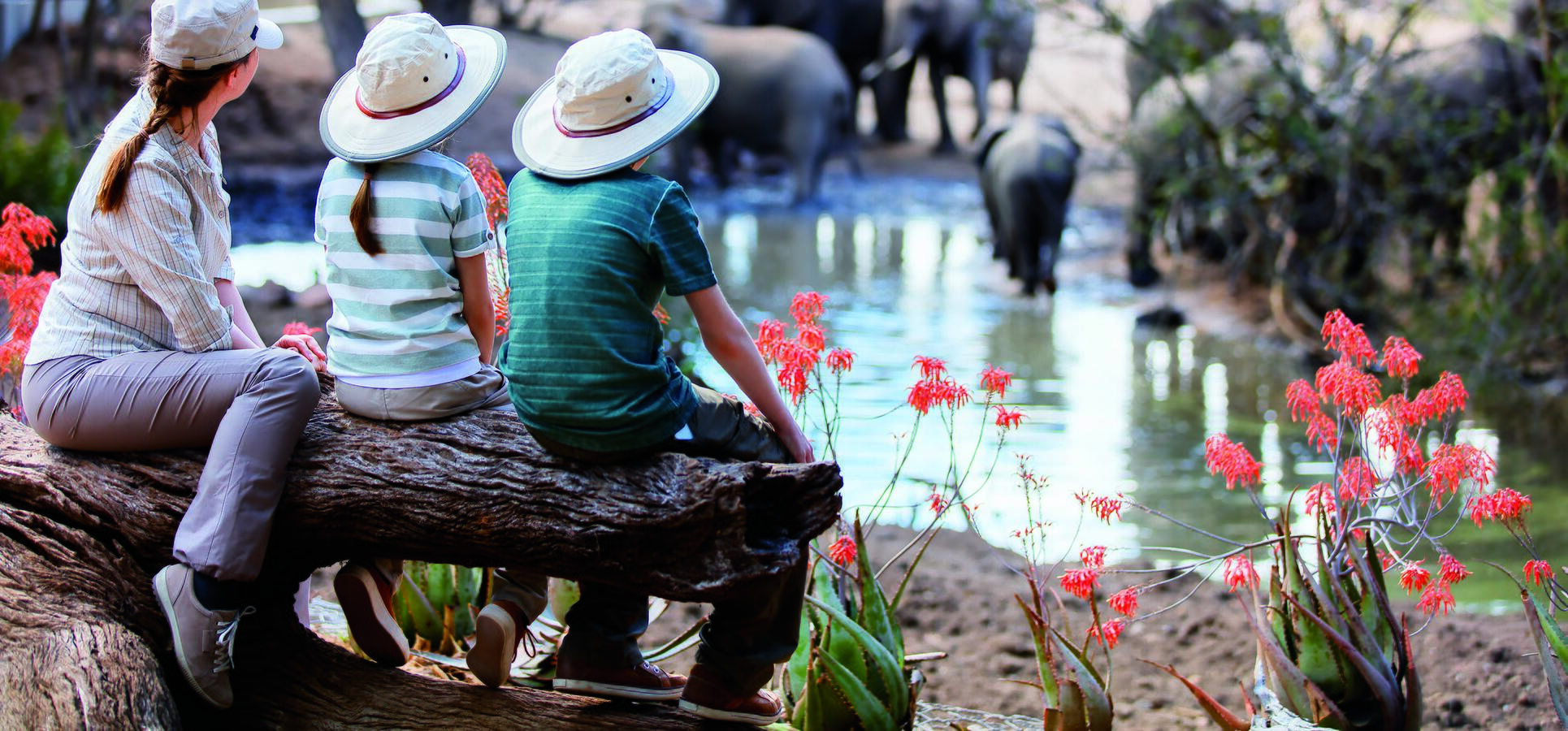  family travel experience luxury adventure