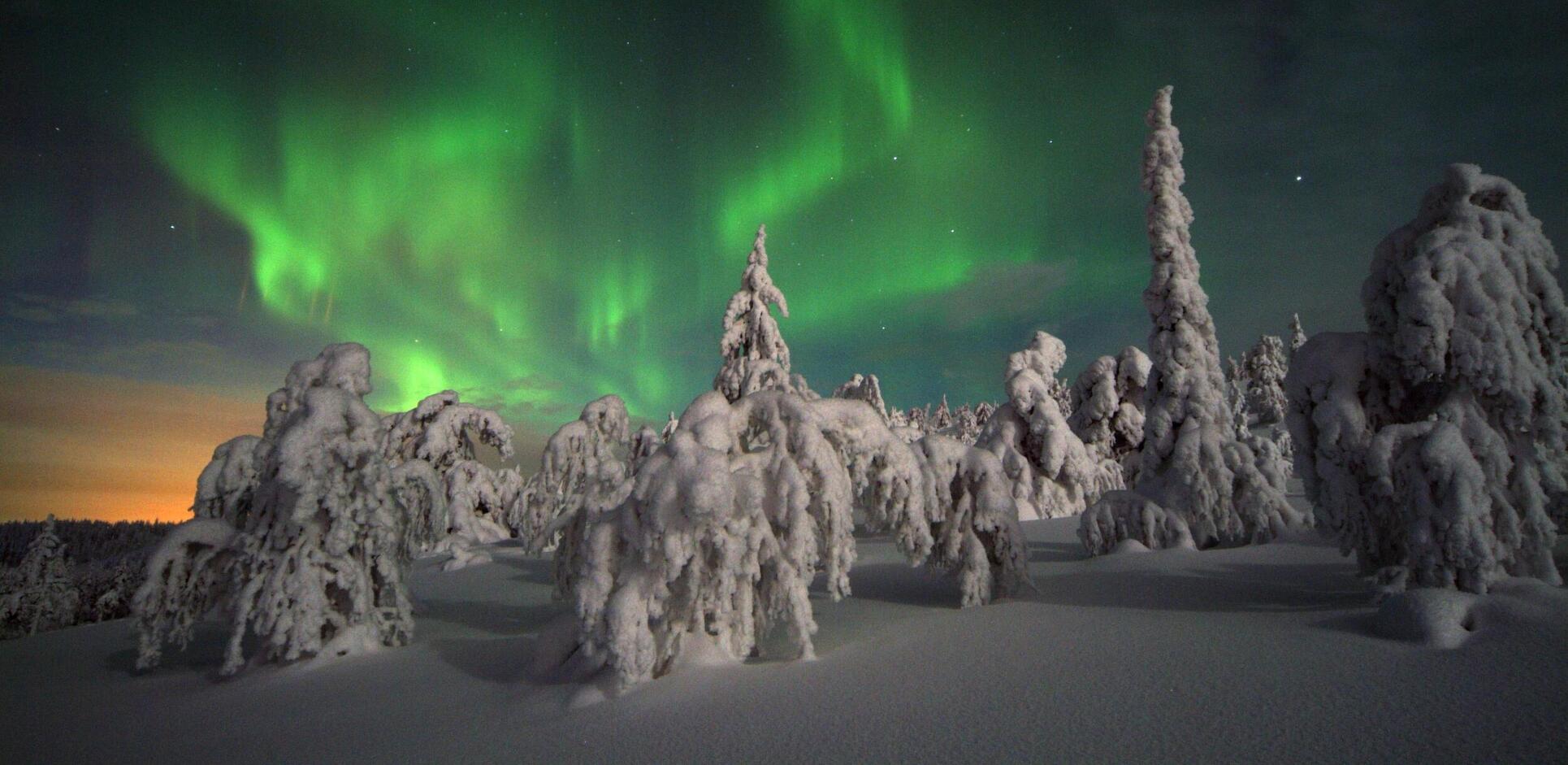 travel luxury experience Aurora borealis Lapland