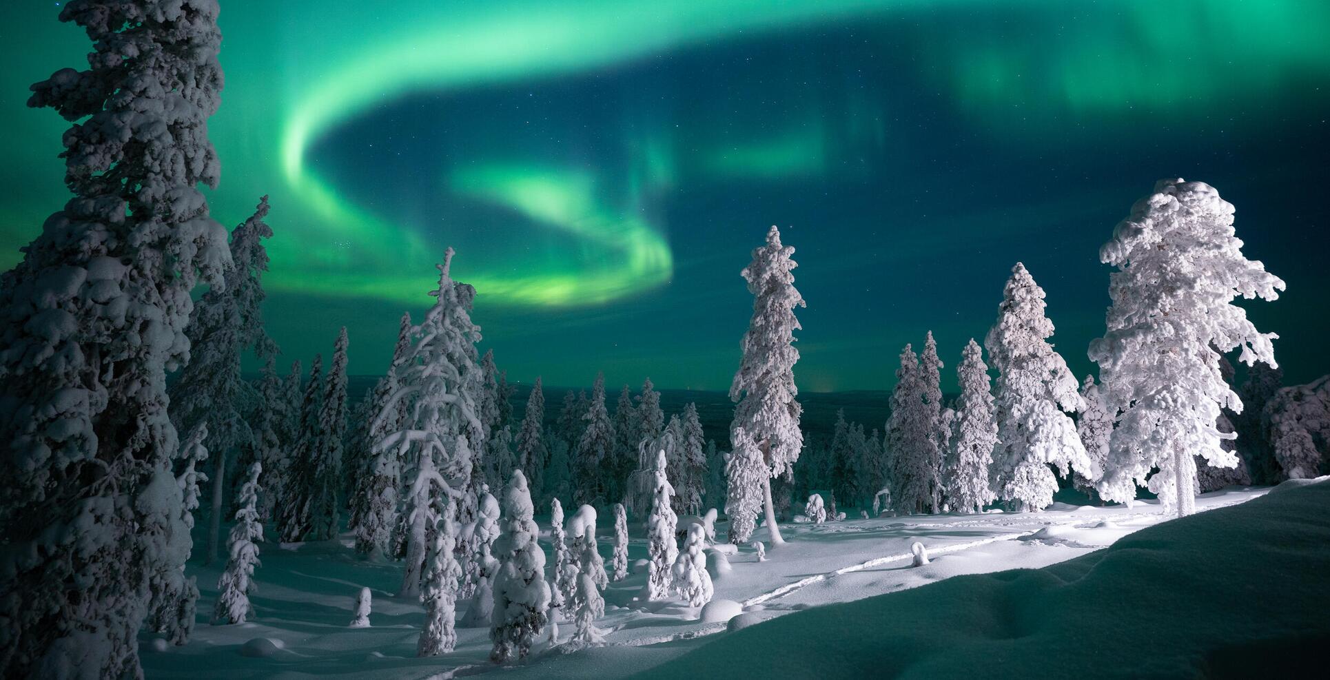 aurora borealis luxury travel