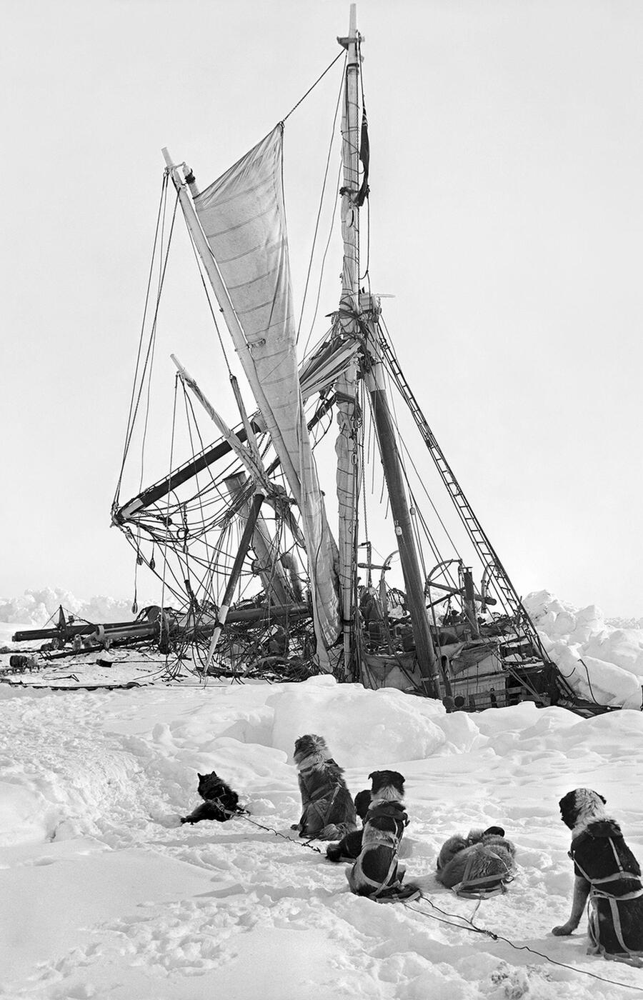 The pressure exerted by the ice sheets ended up destroying and engulfing the 40-meter-long ship. endurance ernest shackleton antarctica