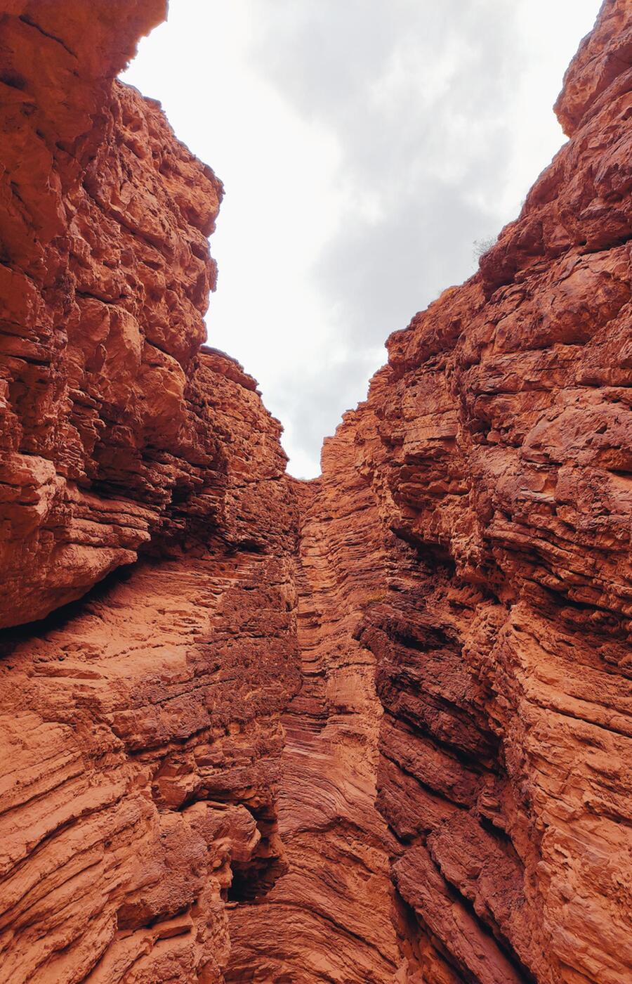 The surroundings of Cafayate are ideal for trekking or climbing, with its imposing canyons. Photos: David Gavilán. cafayate