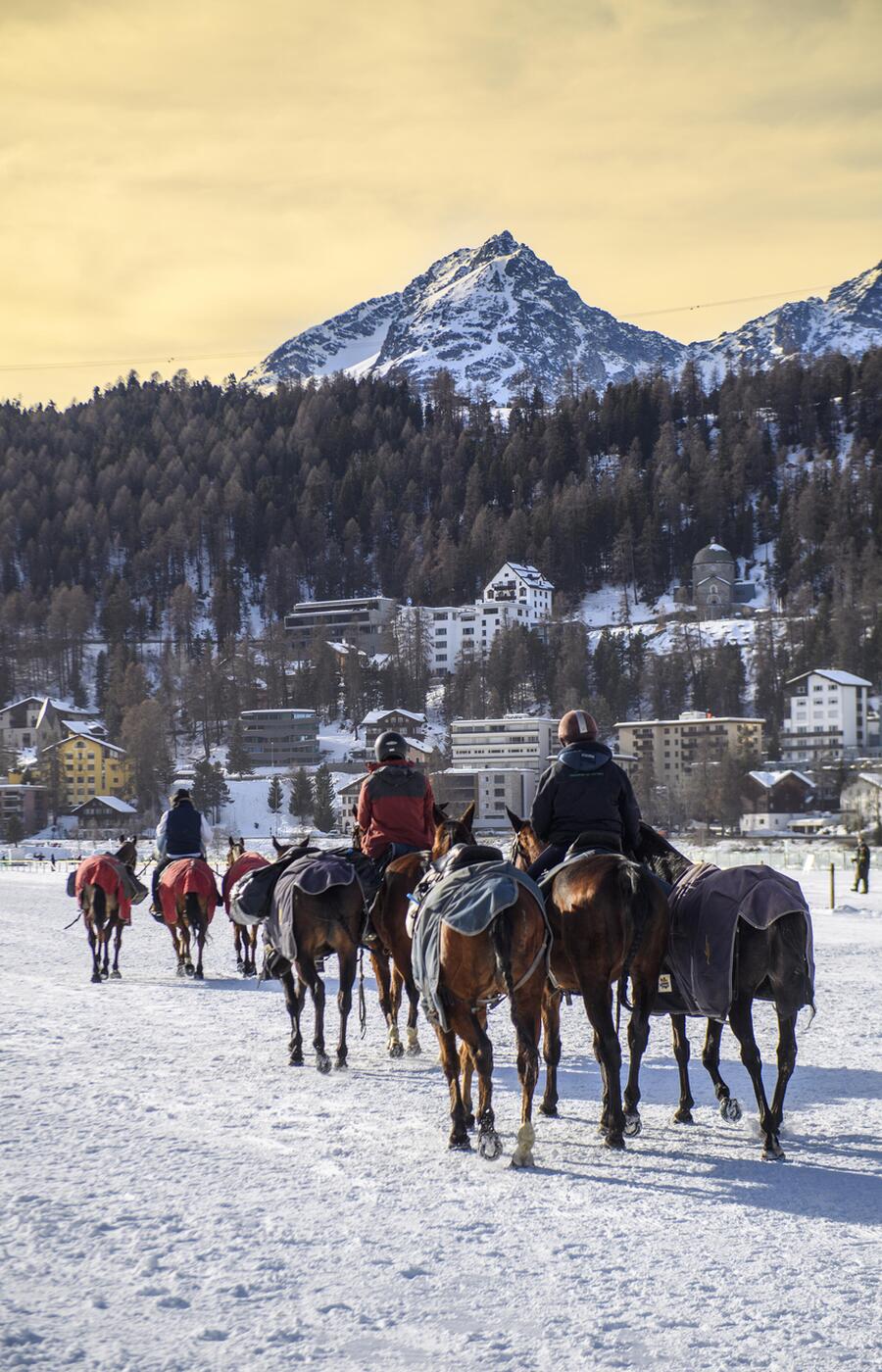 An elite player uses up to ten horses per season. There are tournaments all over the world. Snow polo St. Moritz