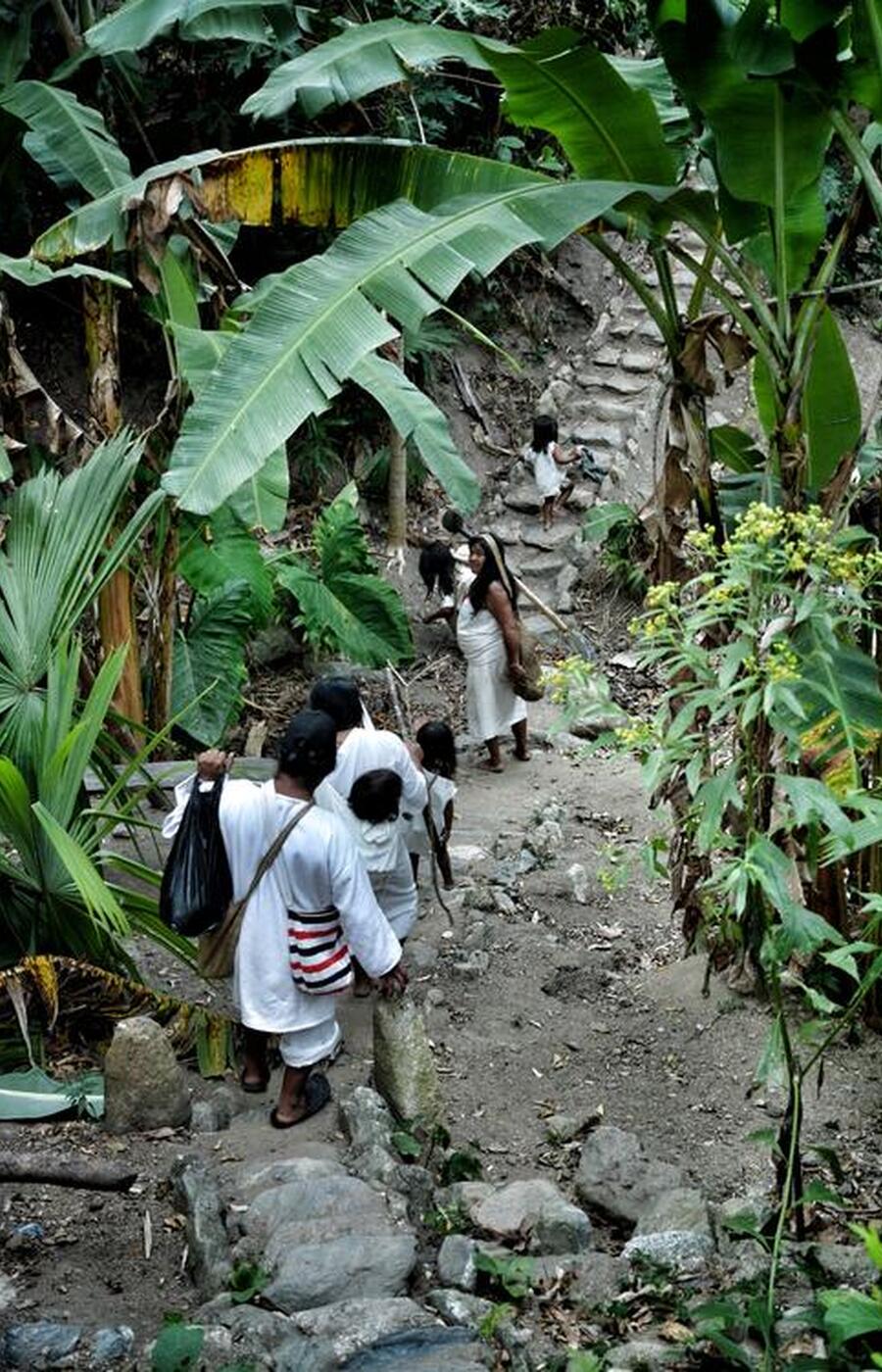 Stone paths and stairways lead to the so-called "Old City". kogui indian route colombia