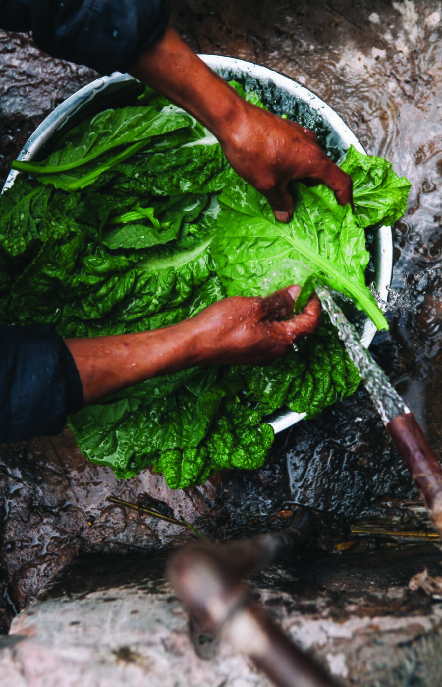 In a Yunnan village, the ritual begins with cold water and fresh leaves. Chinese cuisine, in its purest form. Yunan Fuchsia Dunlop Chinese cuisine